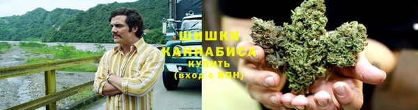 шишки Зерноград