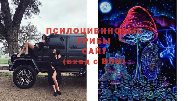 шишки Зерноград